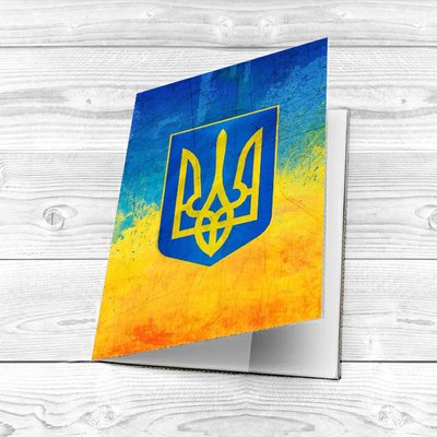 Обложка для паспорта Украины и загранпаспорта ОБ-70 ОБ-70 фото